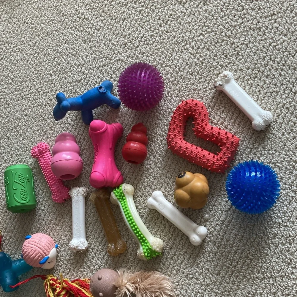 Dog Toy Bundle 18 Count Squeaker Chew Play For Medium Dogs 25 Pounds+ EUC